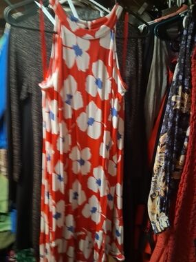 LOFT Red and White Floral Sleeveless Maxi Dress with Blue Accents
